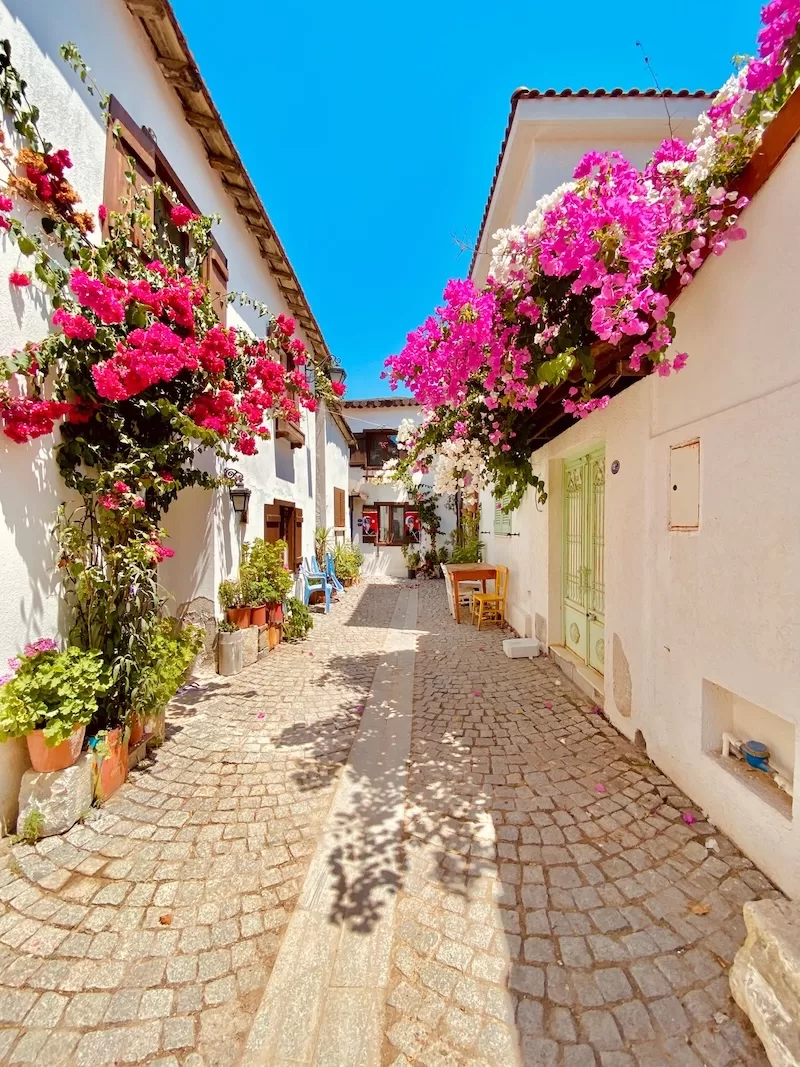 A narrow residential street in a Turkish old town