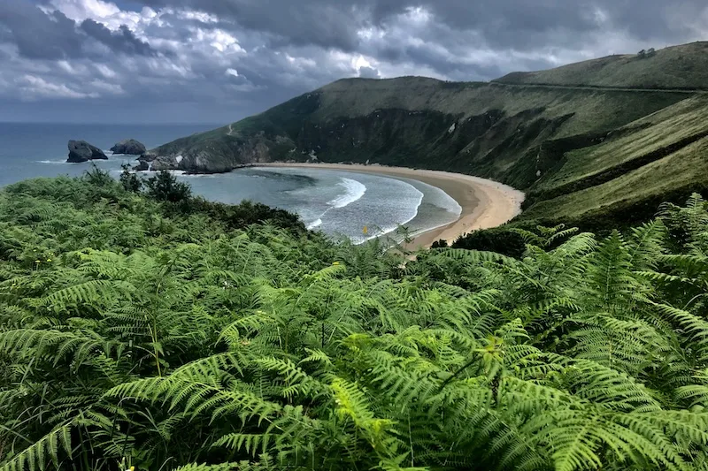 A curved sandy beach below green hills and ferns on the coast of Asturias, northern Spain.
