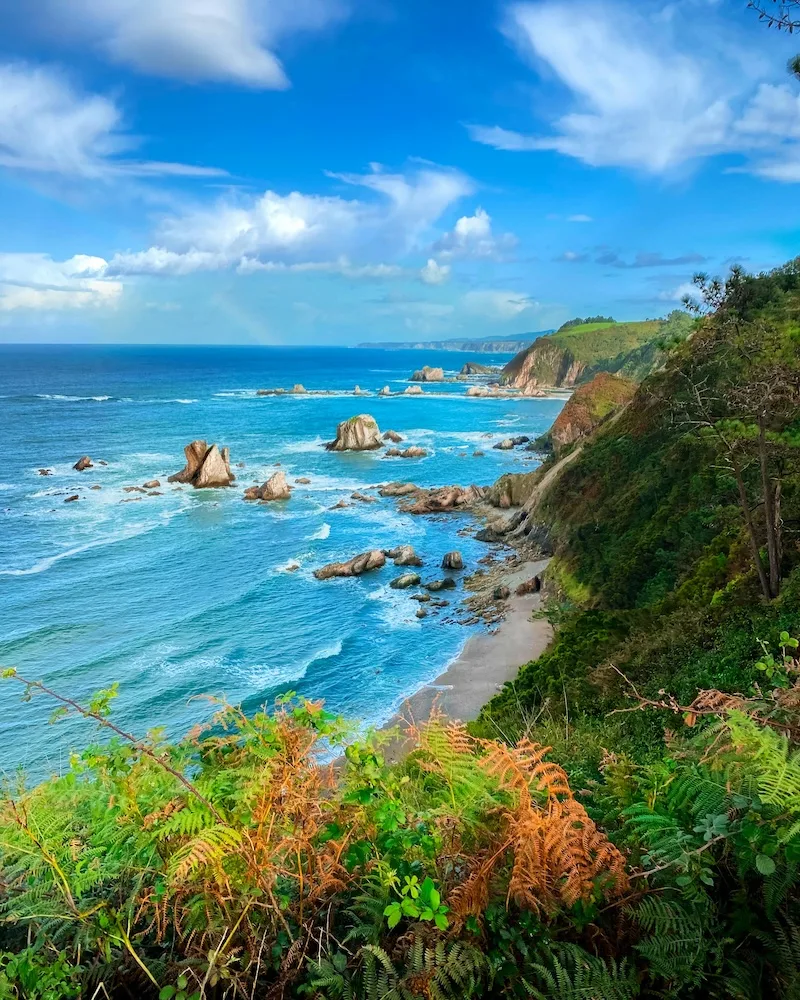 Rock stacks and a narrow beach below a fern-covered cliff on the Asturian coast.