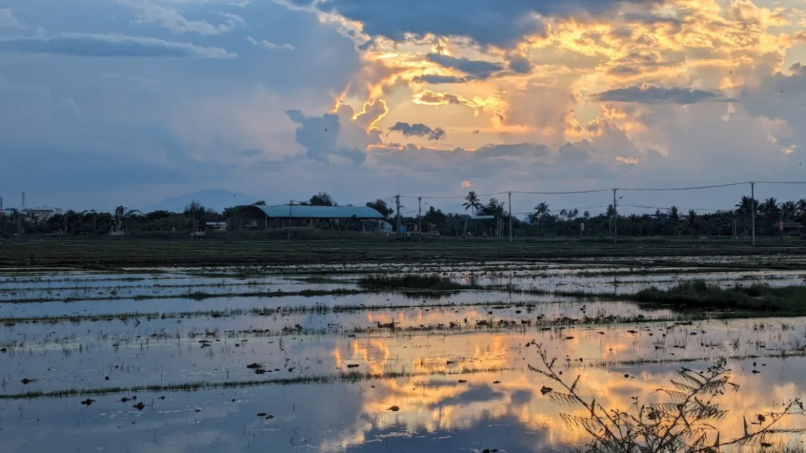 Flooded rice paddies reflect a golden sunset in the countryside of central Vietnam.