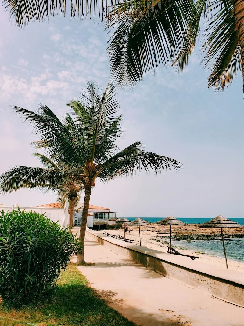 Palm trees and straw umbrellas along a quiet beach promenade by the sea.