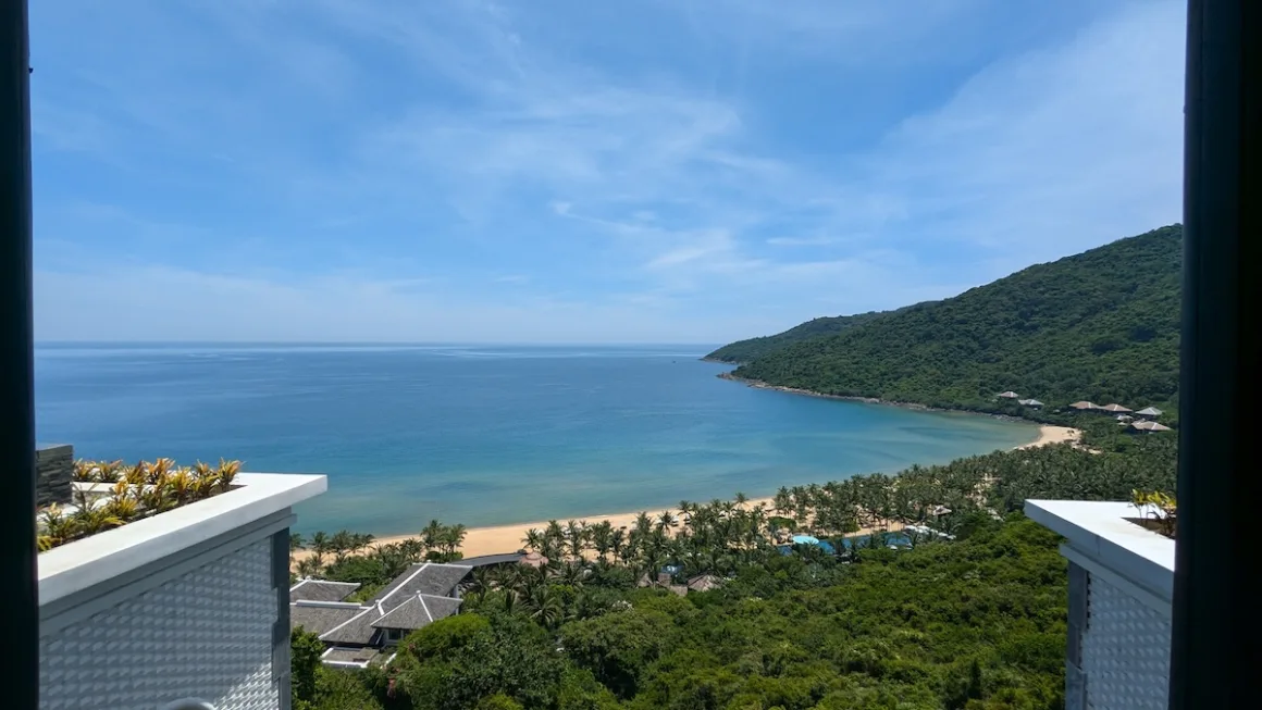 A palm-lined bay below the forested Son Tra Peninsula, seen from a hillside.